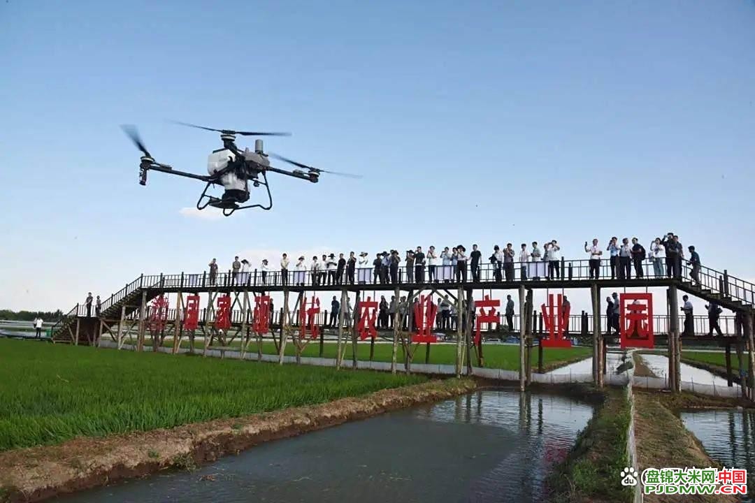 盘锦大米网