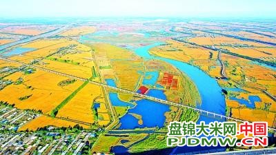 盘锦大米网